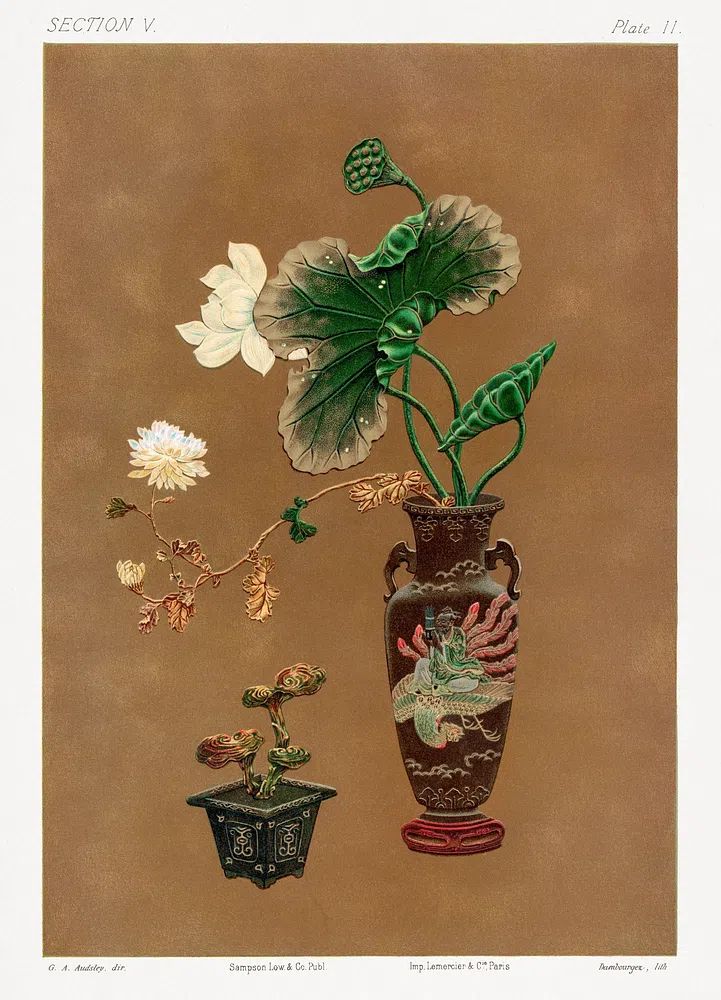 Lotus Flowers and Decorative Vases — Botanical Print. poster — botanical art