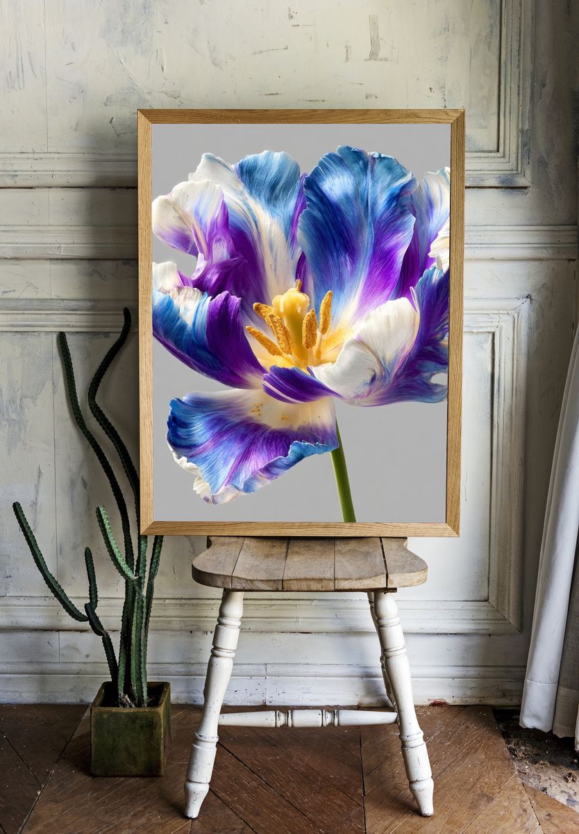 Vibrant Tulip — Botanical Print. — room view 1