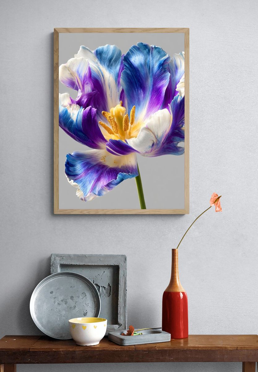 Vibrant Tulip — Botanical Print. — room view 3