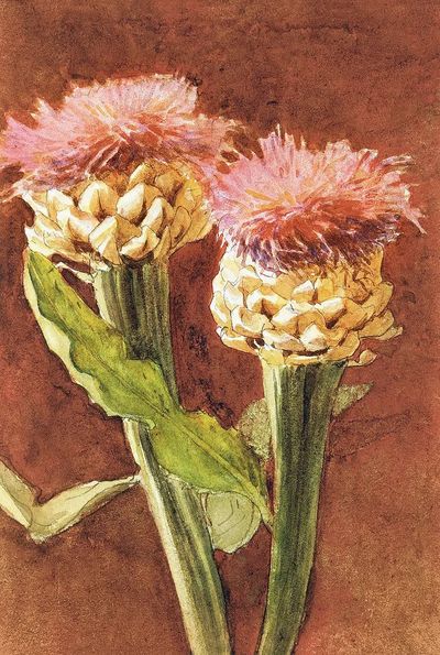 Pink Flower Watercolor Poster. poster