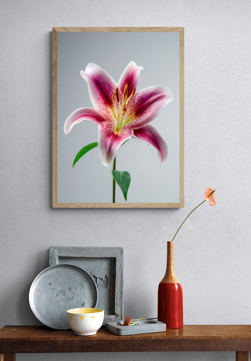 Pink Lily Botanical Poster. — room view 3