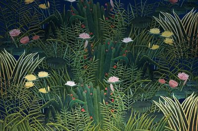 Tropical Water Lilies — Botanical Print. poster