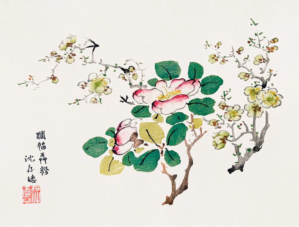 Cherry Blossom and Camellia — Botanical Print. poster — botanical art