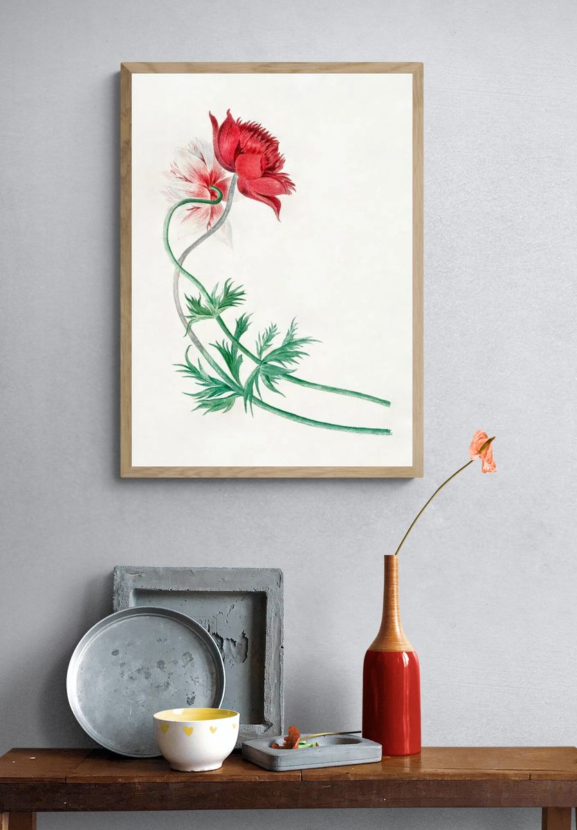 Red and White Flower Botanical Poster. — room view 3