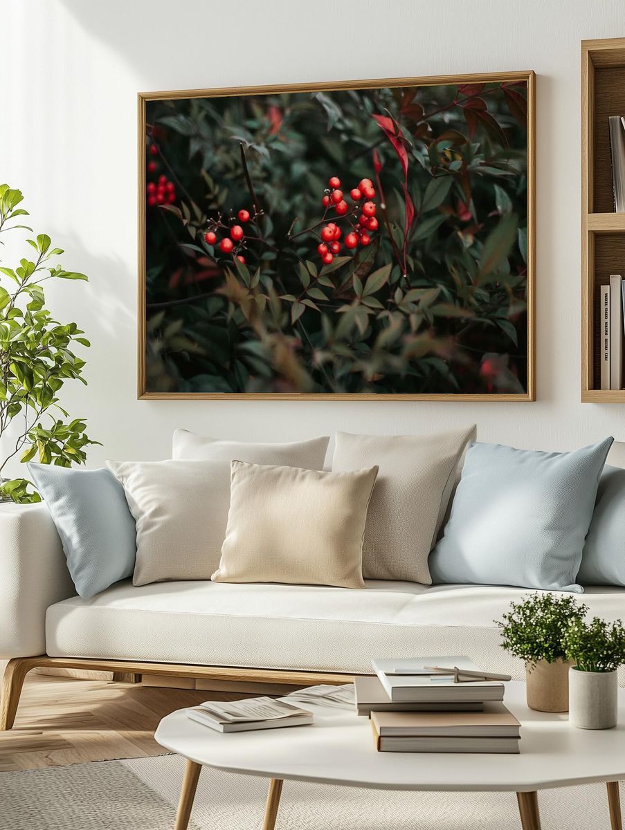 Red Berries in Green Leaves — Botanical Print. — room view 2