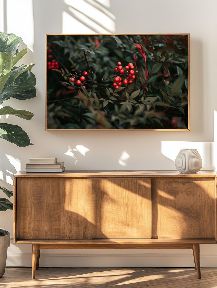 Red Berries in Green Leaves — Botanical Print. — room view 3