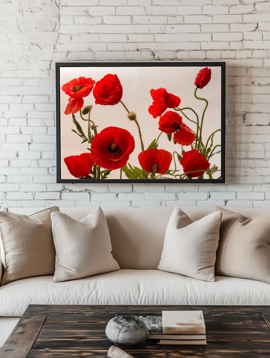 Red Poppy Flowers — Botanical Print. — room view 1