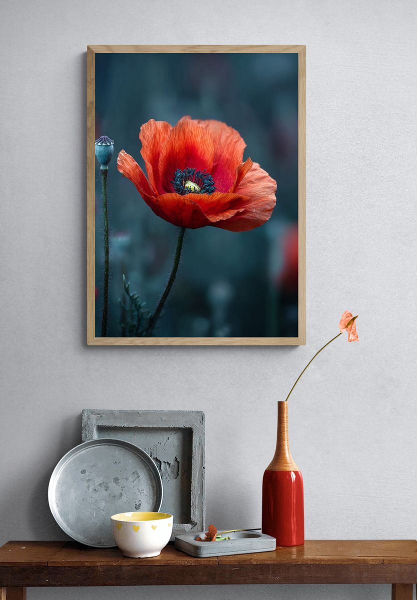 Vibrant Red Poppy — Botanical Print. — room view 3