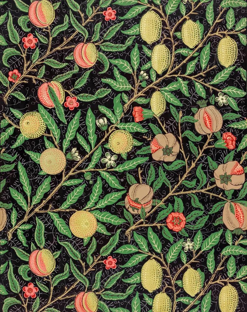 Fruit and Floral Pattern — Botanical Print. poster — botanical art