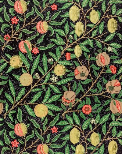 Fruit and Floral Pattern — Botanical Print. poster