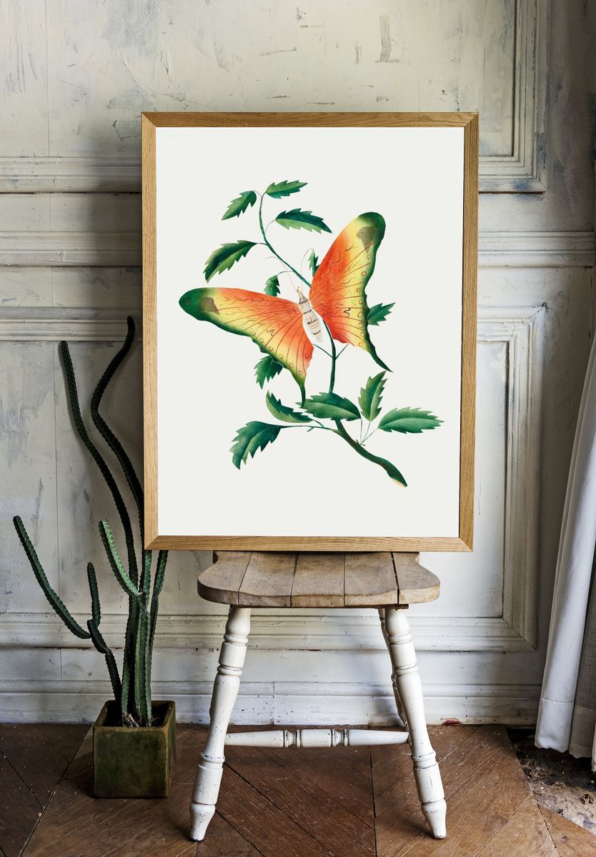 Butterfly and Leaves — Botanical Print. — room view 1