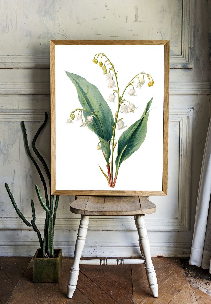 Lily of the Valley Botanical Print. — room view 1