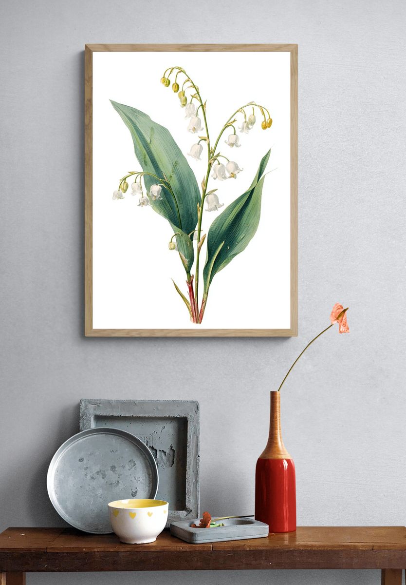 Lily of the Valley Botanical Print. — room view 3