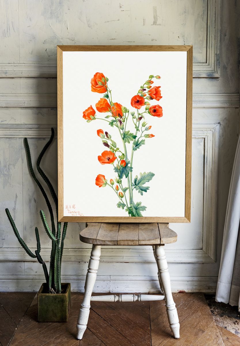 Orange Poppy Botanical Print. — room view 1