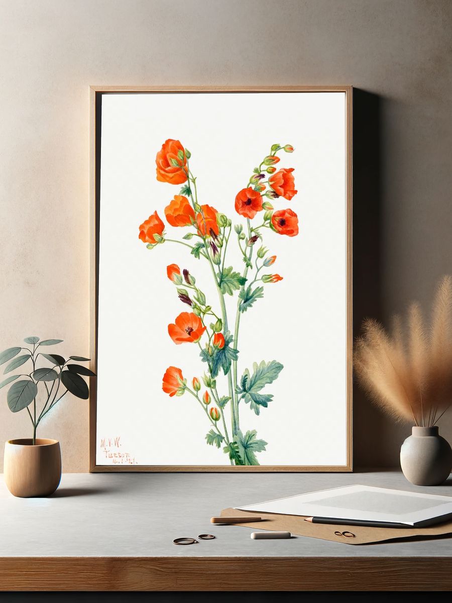 Orange Poppy Botanical Print. — room view 2