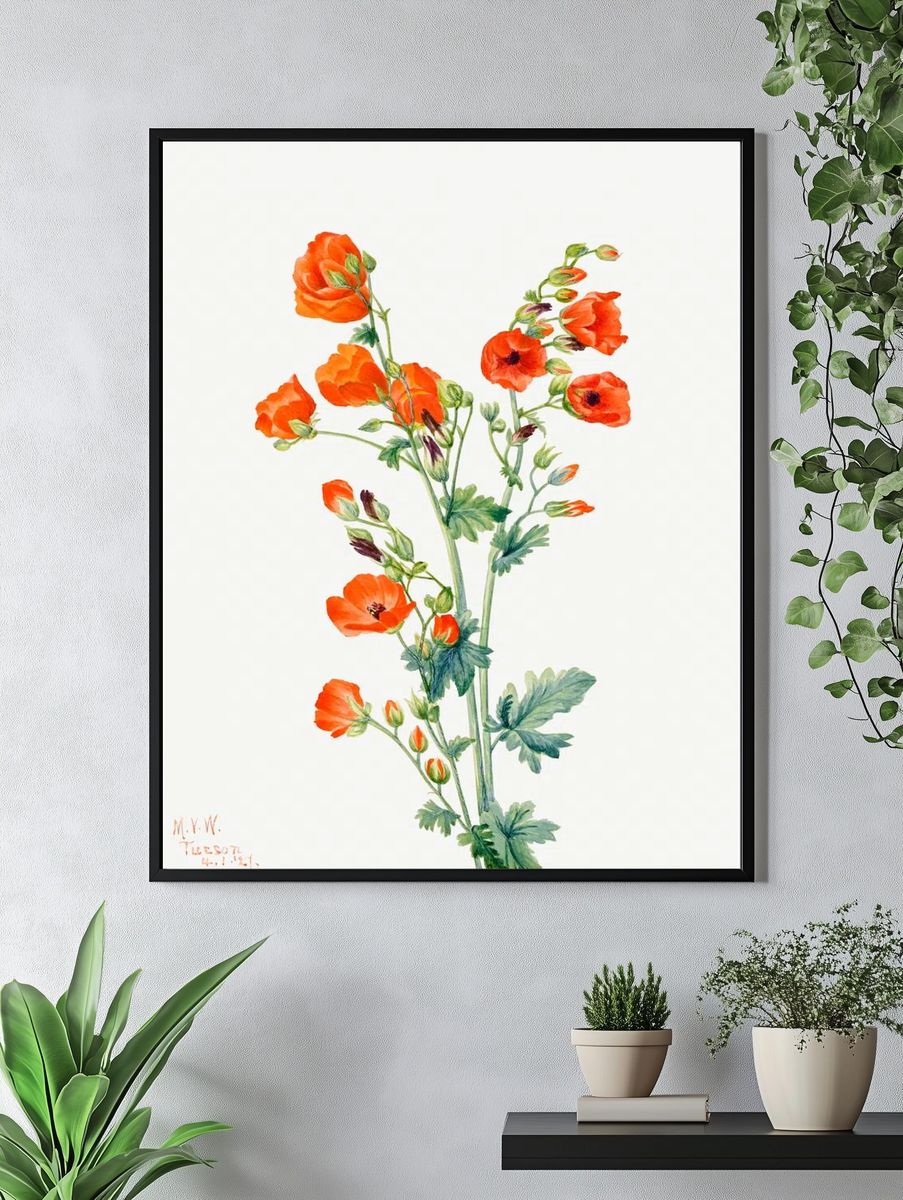 Orange Poppy Botanical Print. — room view 4