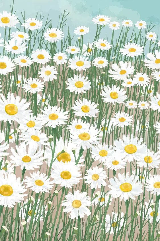 Daisy Field — Botanical Print. poster detail