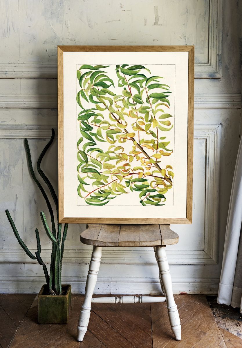 Botanical Leaves — Watercolor Print. — room view 1