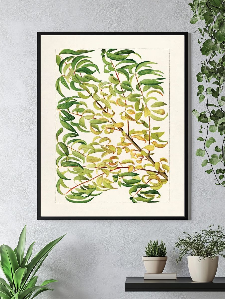 Botanical Leaves — Watercolor Print. — room view 4