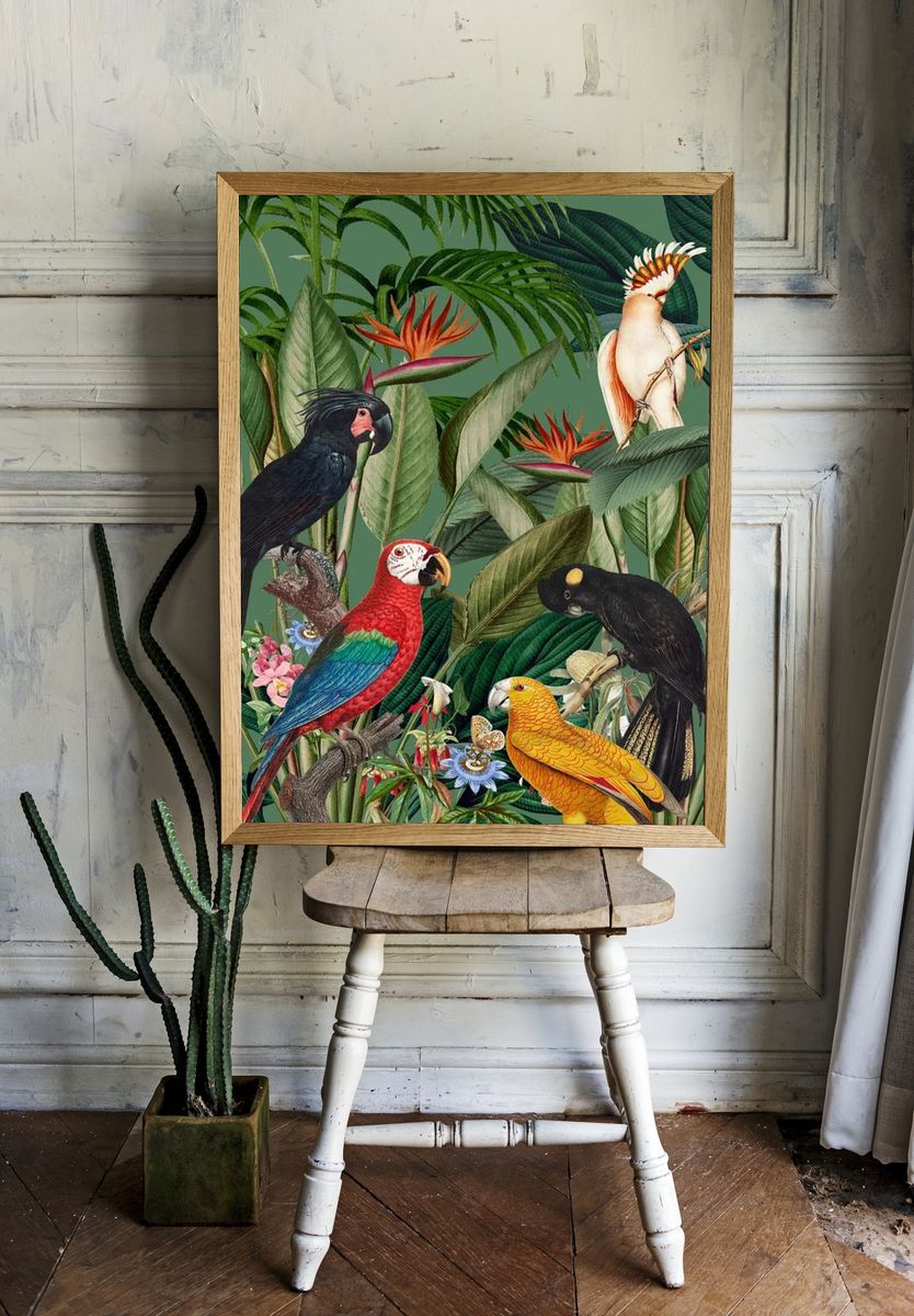 Tropical Birds and Flora — Botanical Print. — room view 1