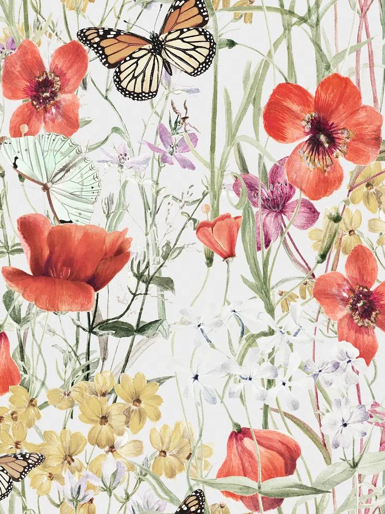 Butterfly & flower pattern, botanical. poster — botanical art