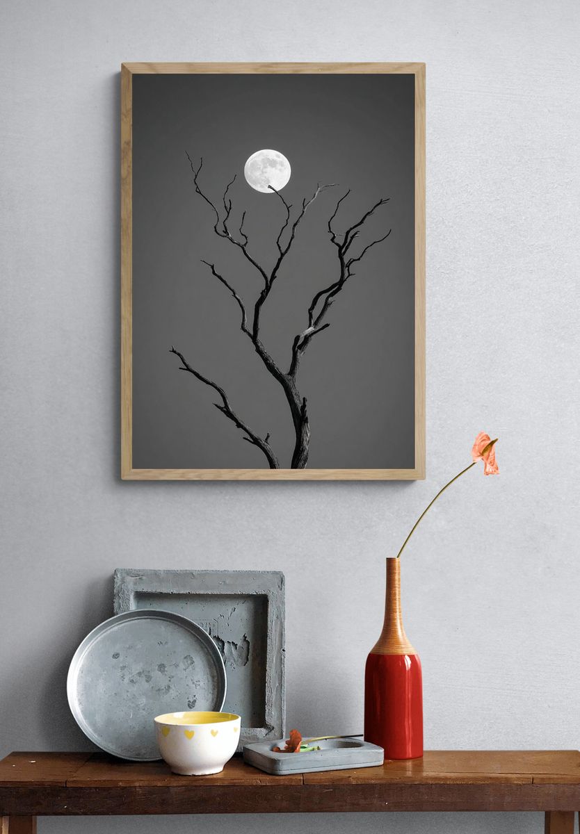 Moonlit Tree — Black and White Print. — room view 3