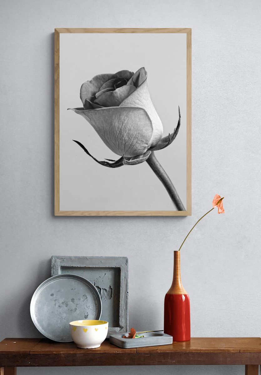 Black and White Rose Poster. — room view 3