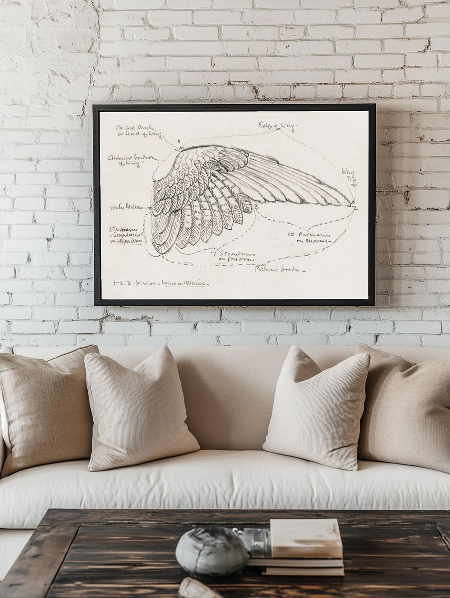 Detailed Bird Wing Sketch — Fine Art Print. — room view 1