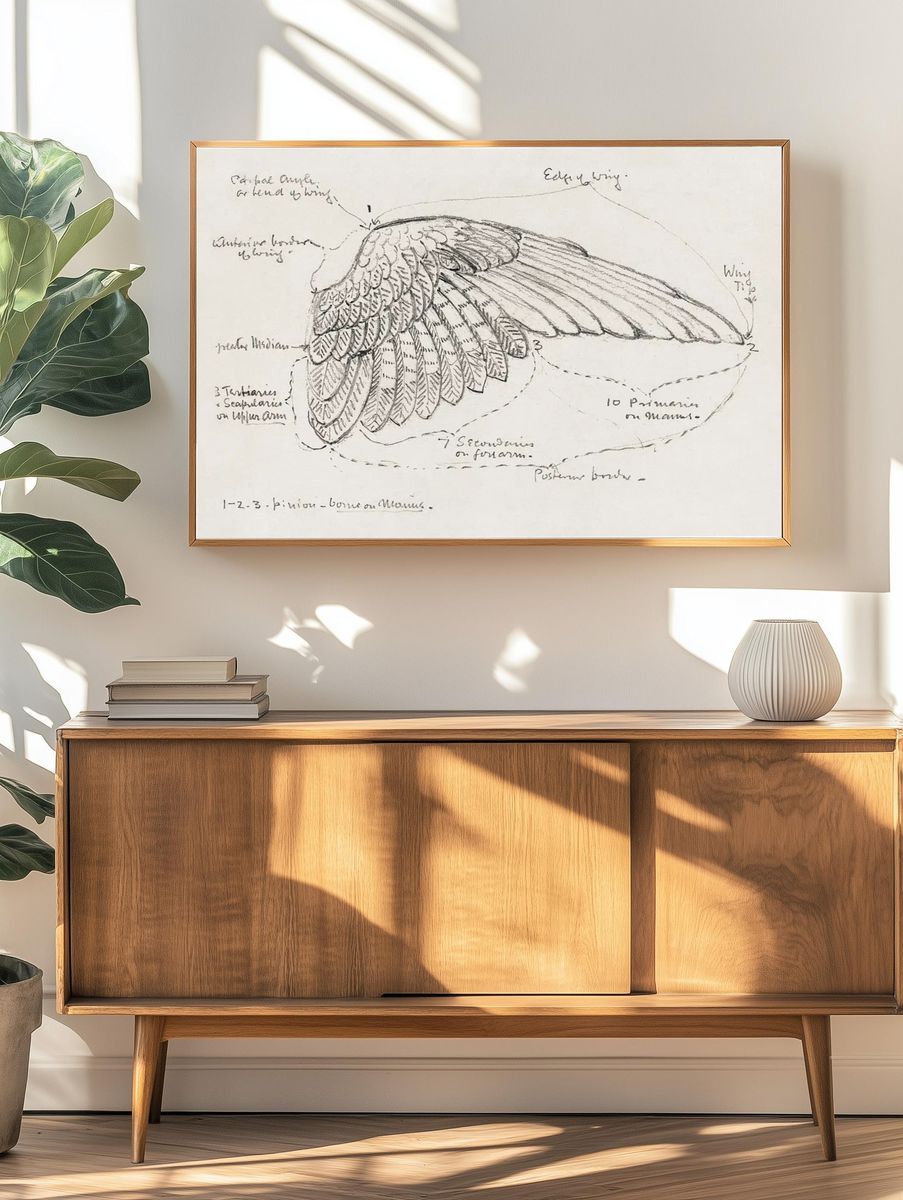 Detailed Bird Wing Sketch — Fine Art Print. — room view 3