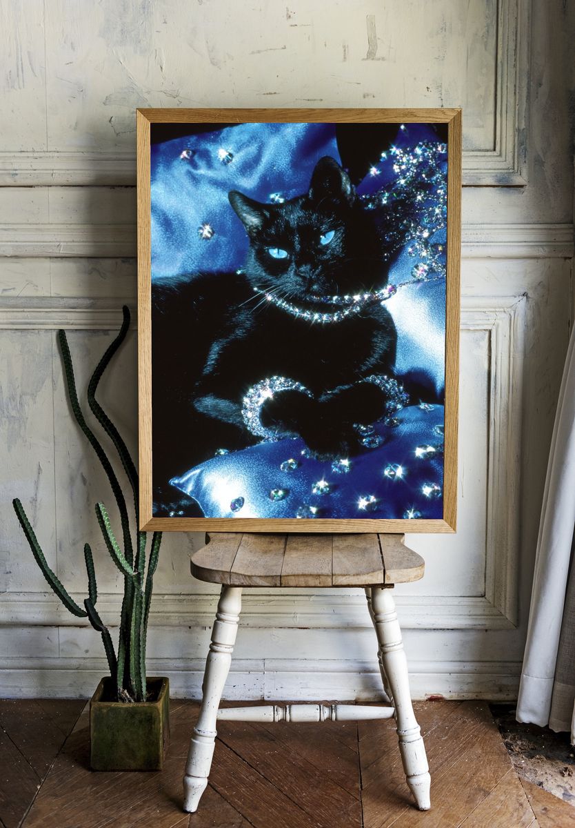 Elegant Black Cat — Photography Print. — room view 1