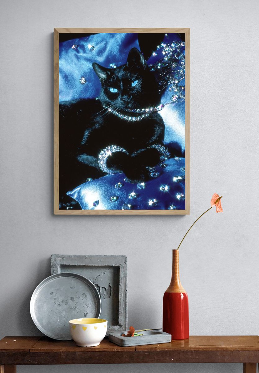Elegant Black Cat — Photography Print. — room view 3