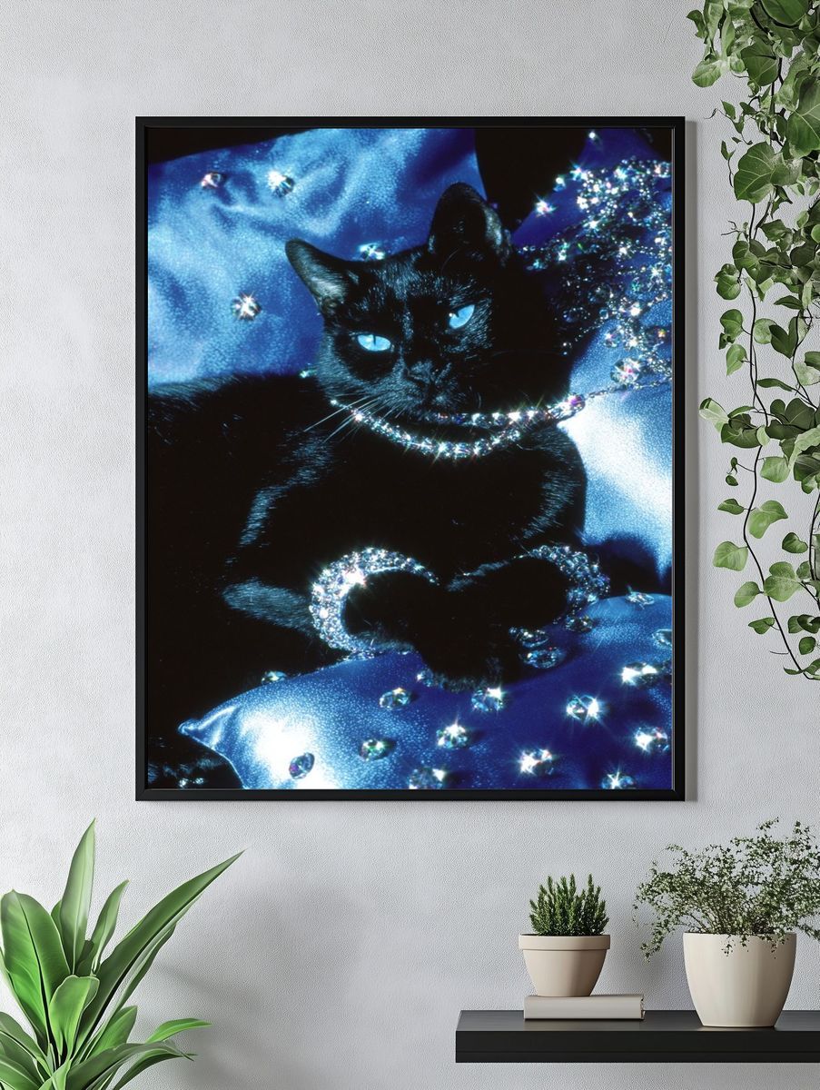 Elegant Black Cat — Photography Print. — room view 4