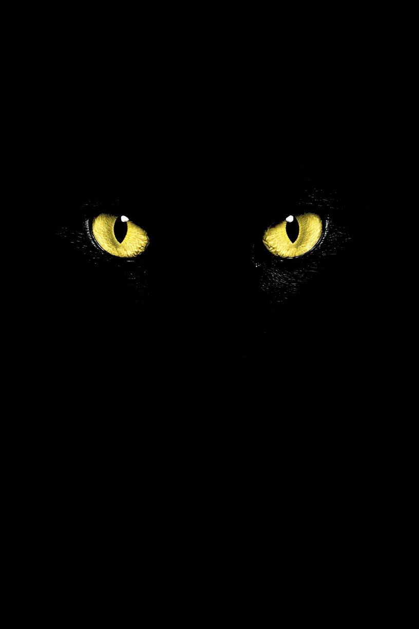 Mystical Cat Eyes — Illustration Print. poster — animals art