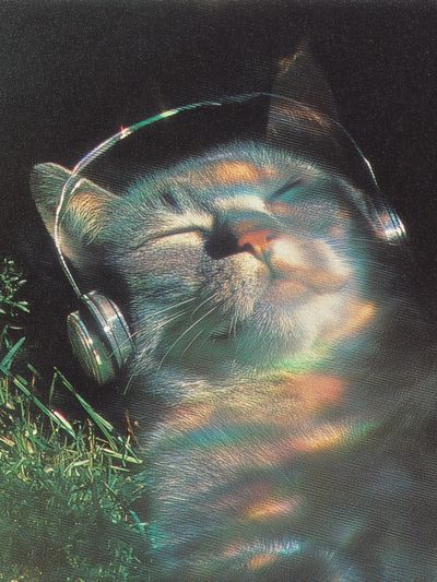 Relaxed Cat with Headphones — Vintage Print. poster print