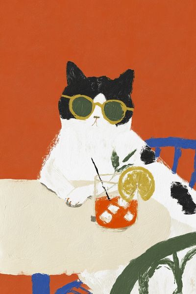 Cool Cat with Drink — Illustration Print. poster print