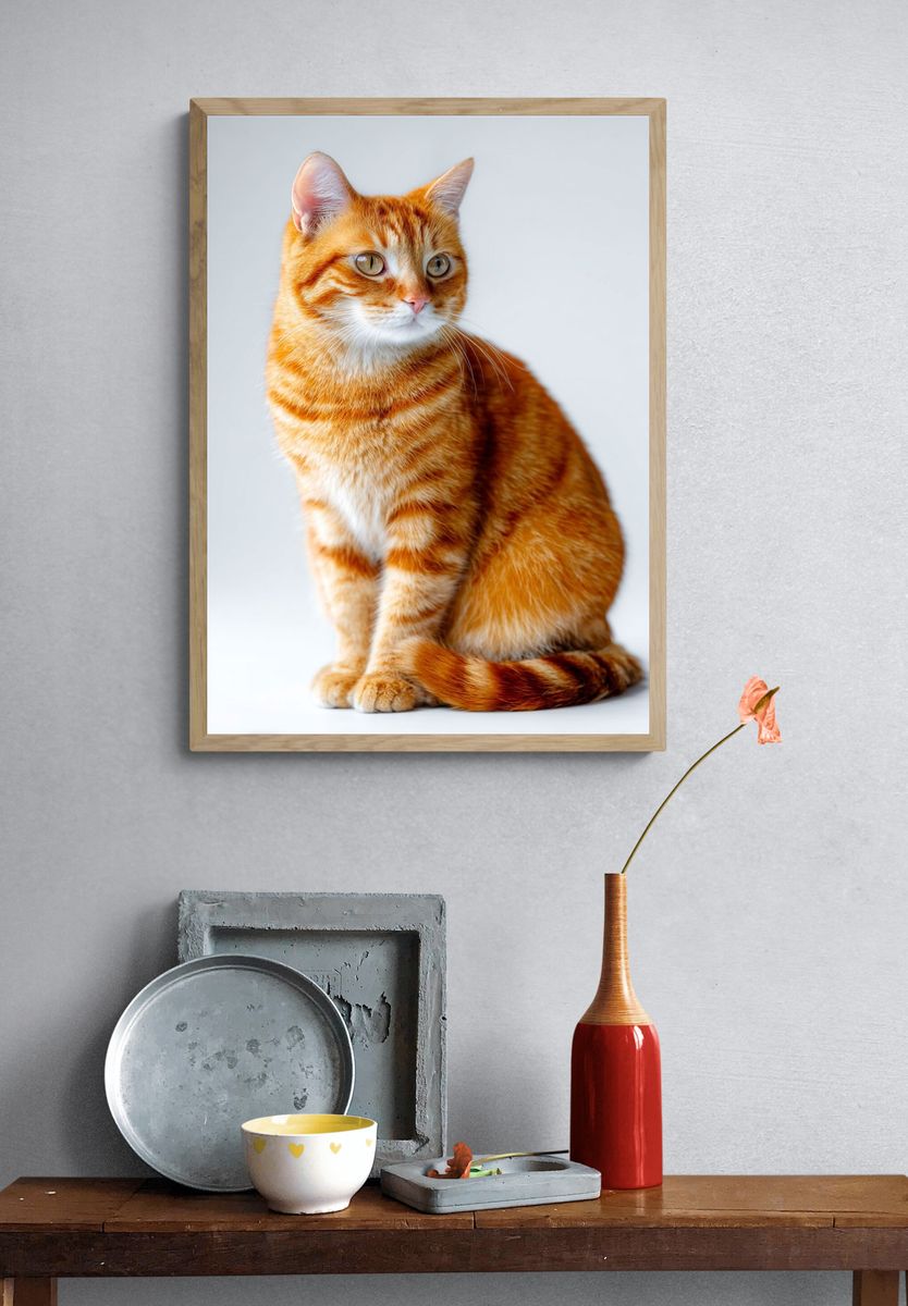 Orange Tabby Cat Portrait Poster. — room view 3