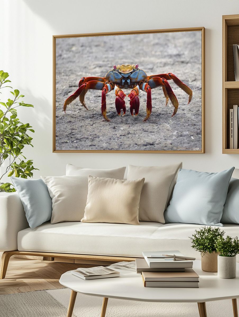 Colorful Crab Wildlife Poster. — room view 2