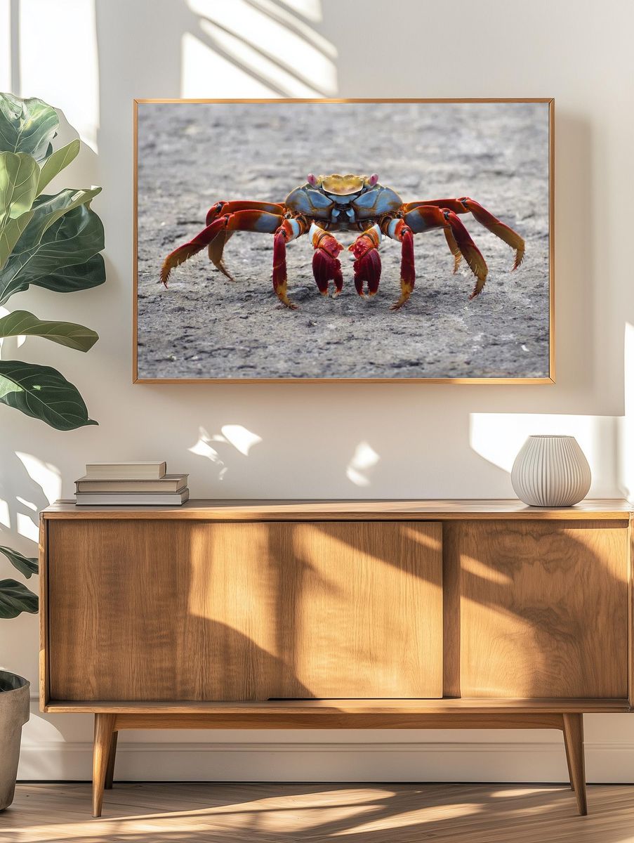 Colorful Crab Wildlife Poster. — room view 3