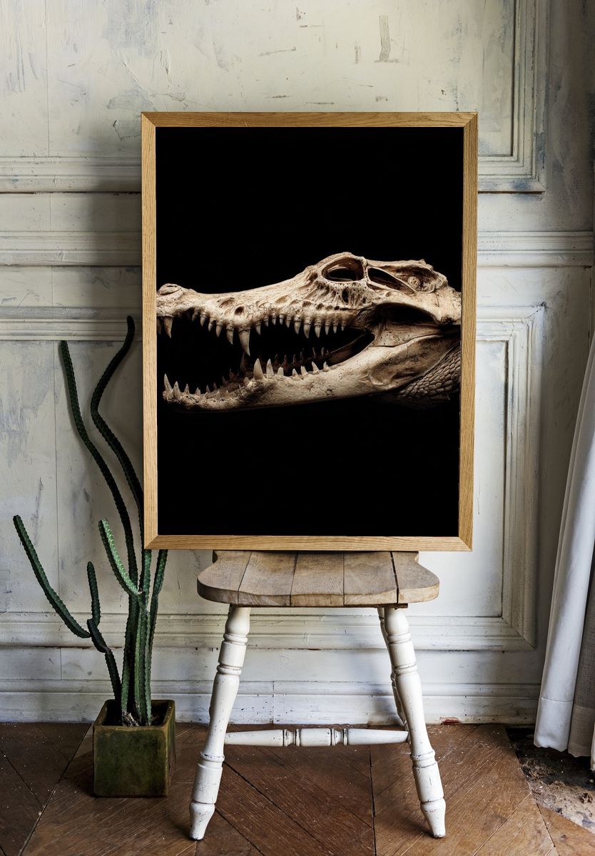 Crocodile Skull Dark Photography Poster. — room view 1