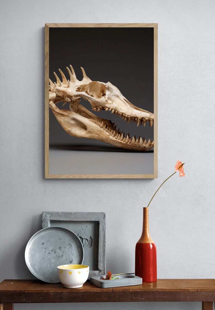 Crocodile Skull Photography Poster. — room view 3