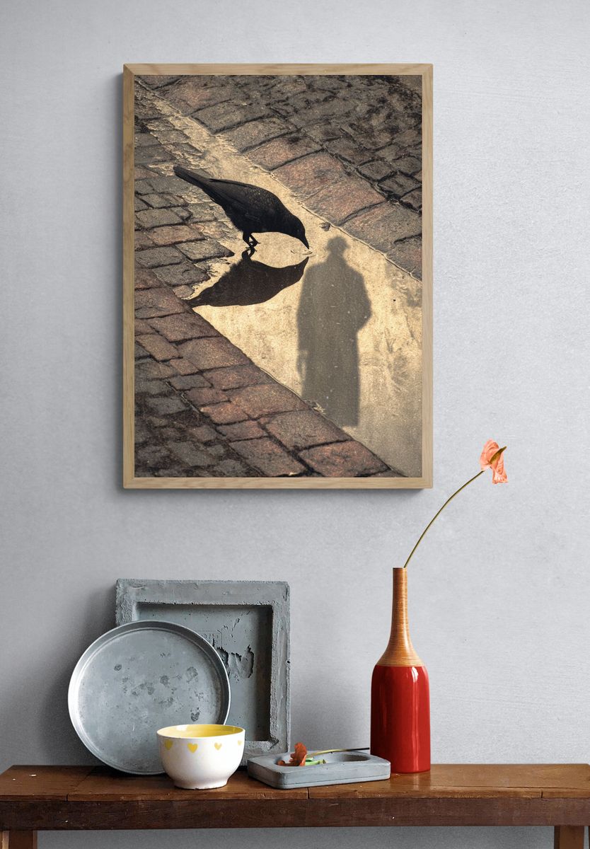 Crow Reflection — Photography Print. — room view 3