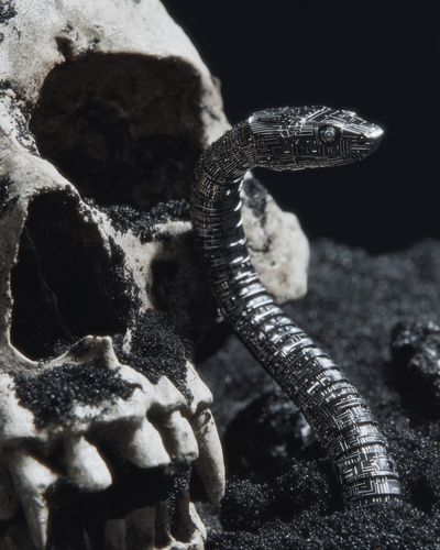Cyber Snake and Skull — Dark Art Print. poster print