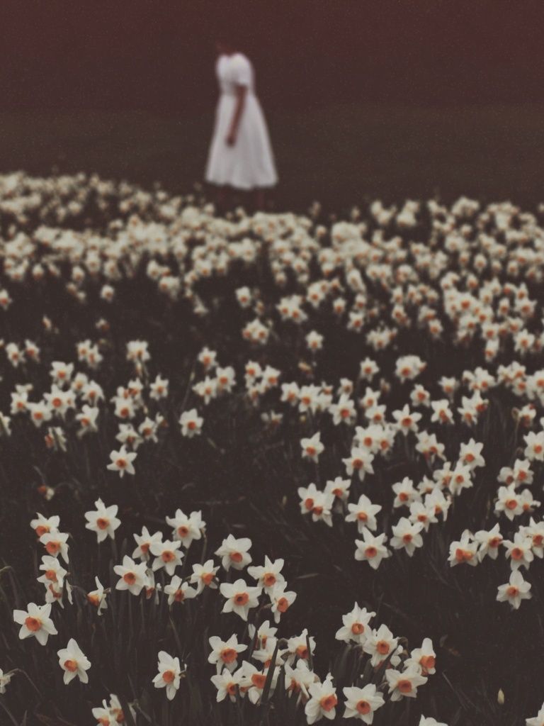 Daffodil Field with Figure — Photography Print. poster detail