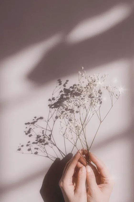 Delicate Flower Shadows — Photography Print. poster detail