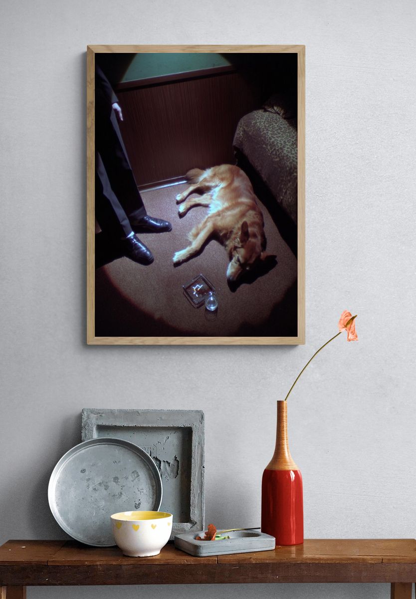 Golden Retriever in a Dim Room — Photography Print. — room view 3
