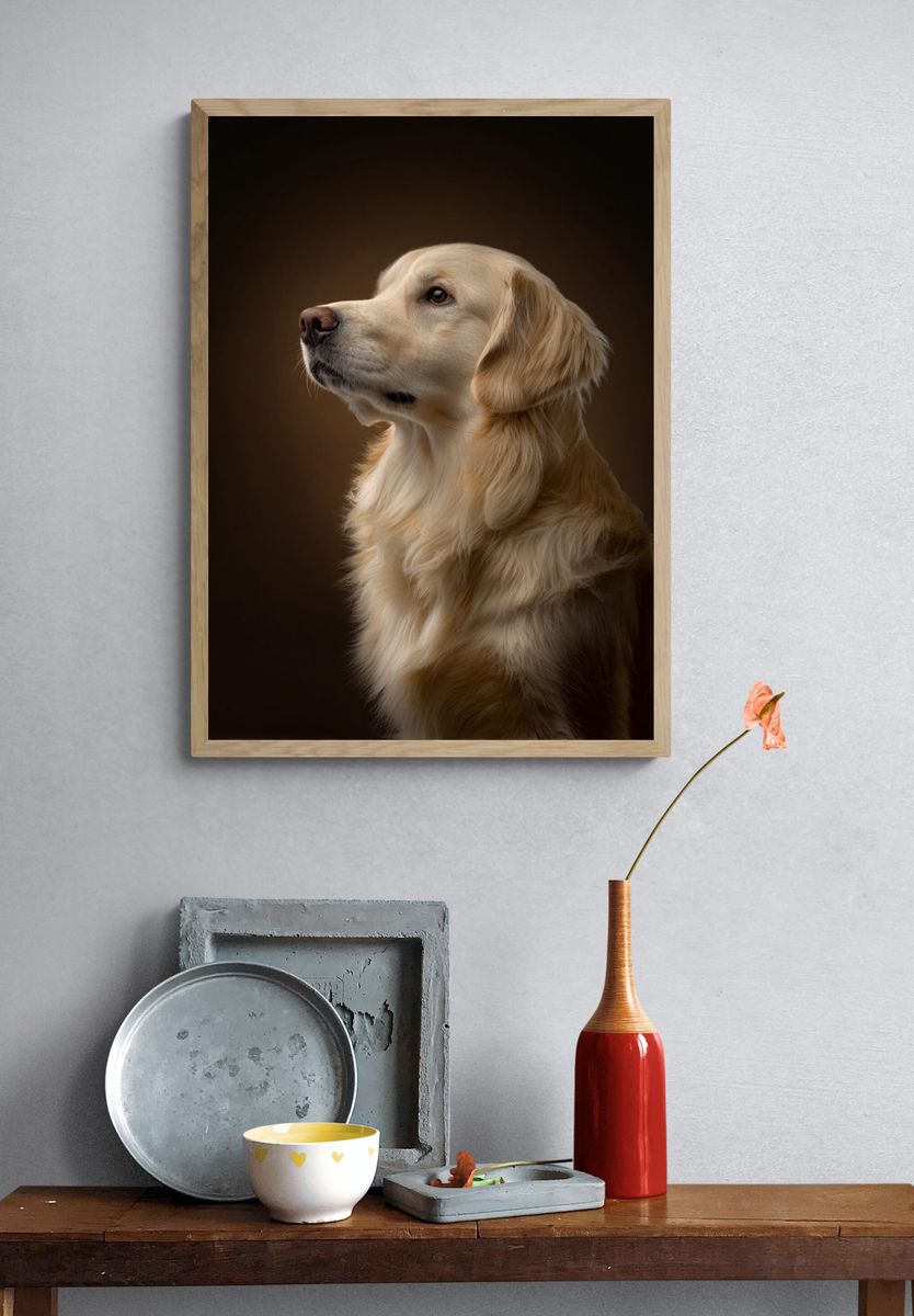 Golden Retriever Portrait Poster. — room view 3