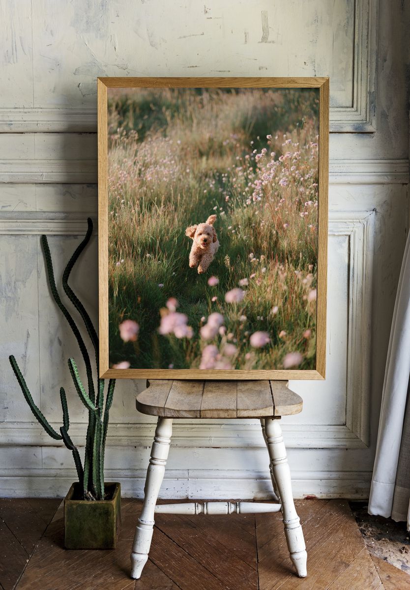 Happy Dog Running in a Field — Photography Print. — room view 1