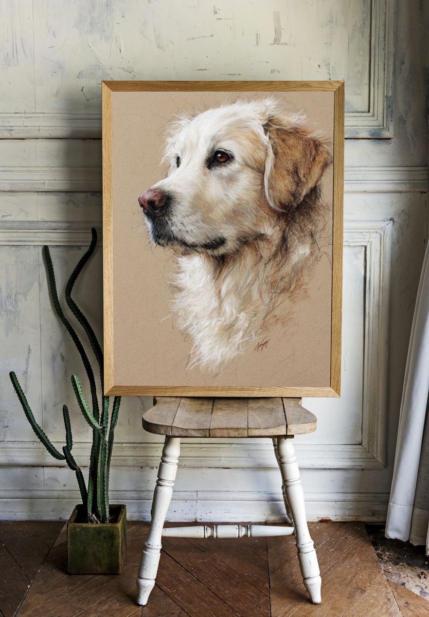 Golden Retriever Portrait Print. — room view 1