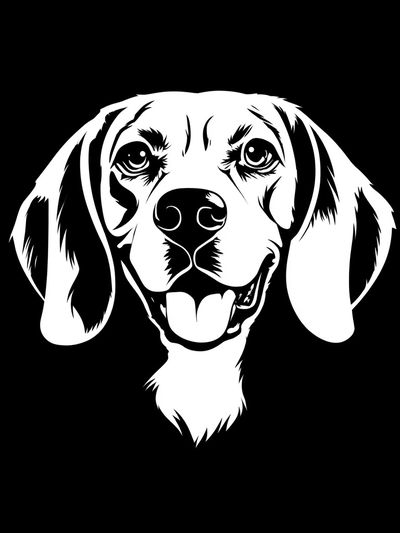 Beagle Portrait Black-White Poster. poster print
