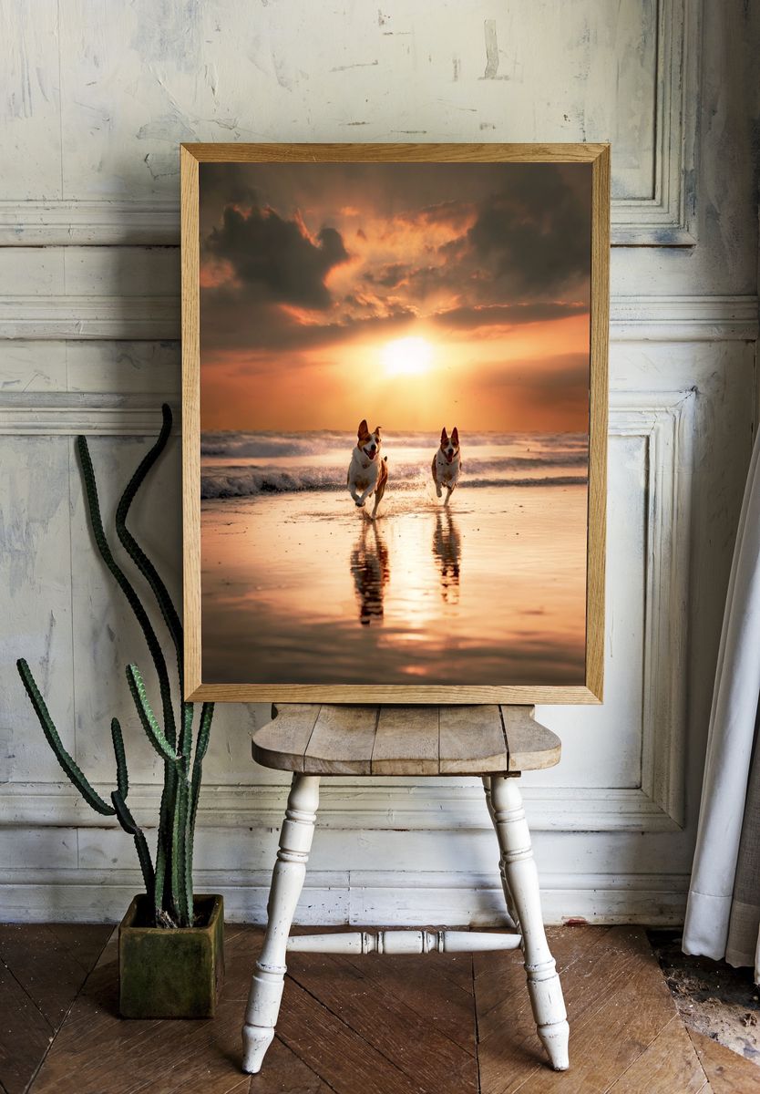 Dogs Running at Sunset Photography Poster. — room view 1